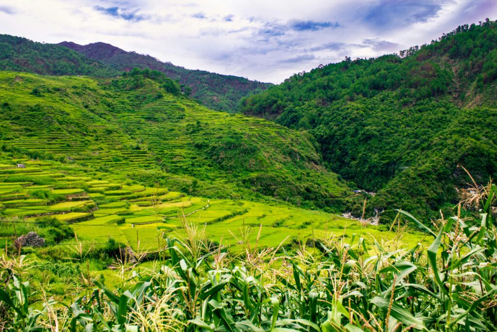 The Best Bus Transfer Made Easy - Manila Cubao To Sagada